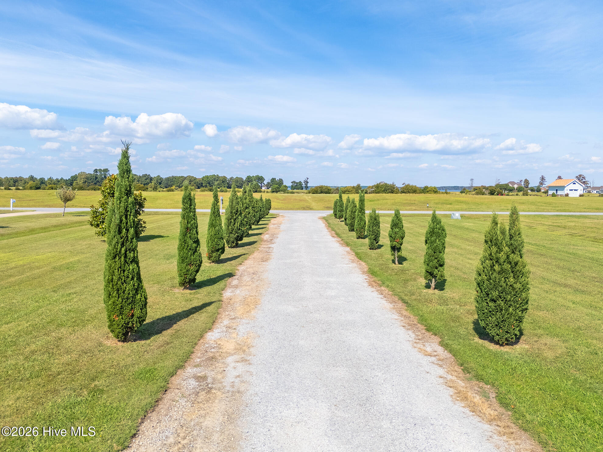 Gravel driveway lined with evergreen trees across a broad, neatly mowed lawn.