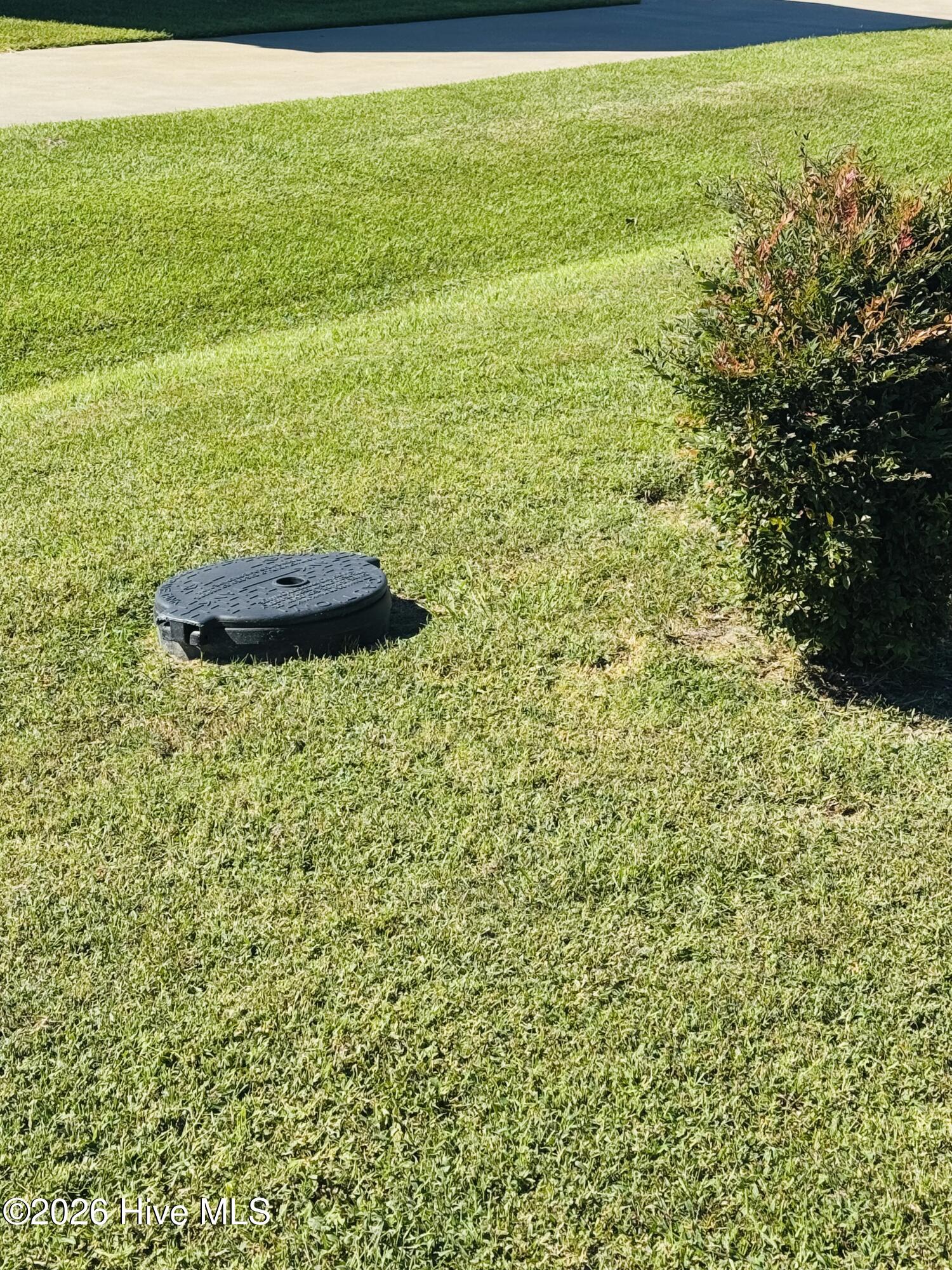 Mowed lawn with a round black utility access lid beside a shrub.