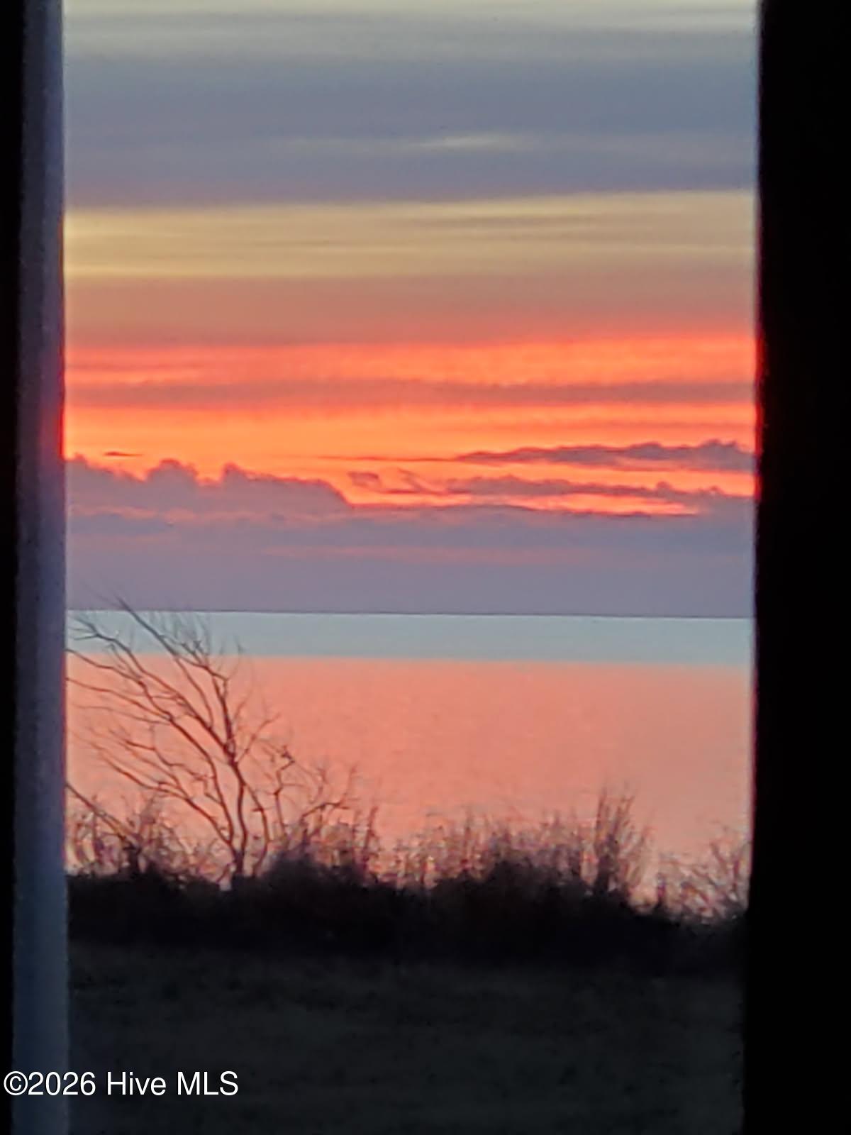 Sunset over water, framed by a window with silhouetted shoreline brush.