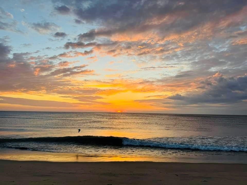 9013 L E Hunter Street lot 12 & 13