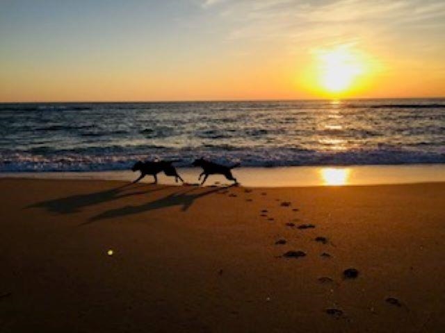 290 Hillcrest Drive Lot 22