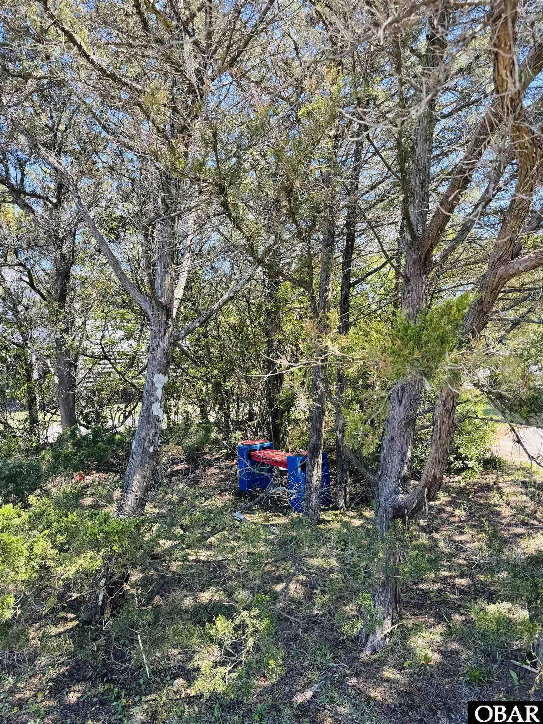 26212 Bluebeard Road Lot 77