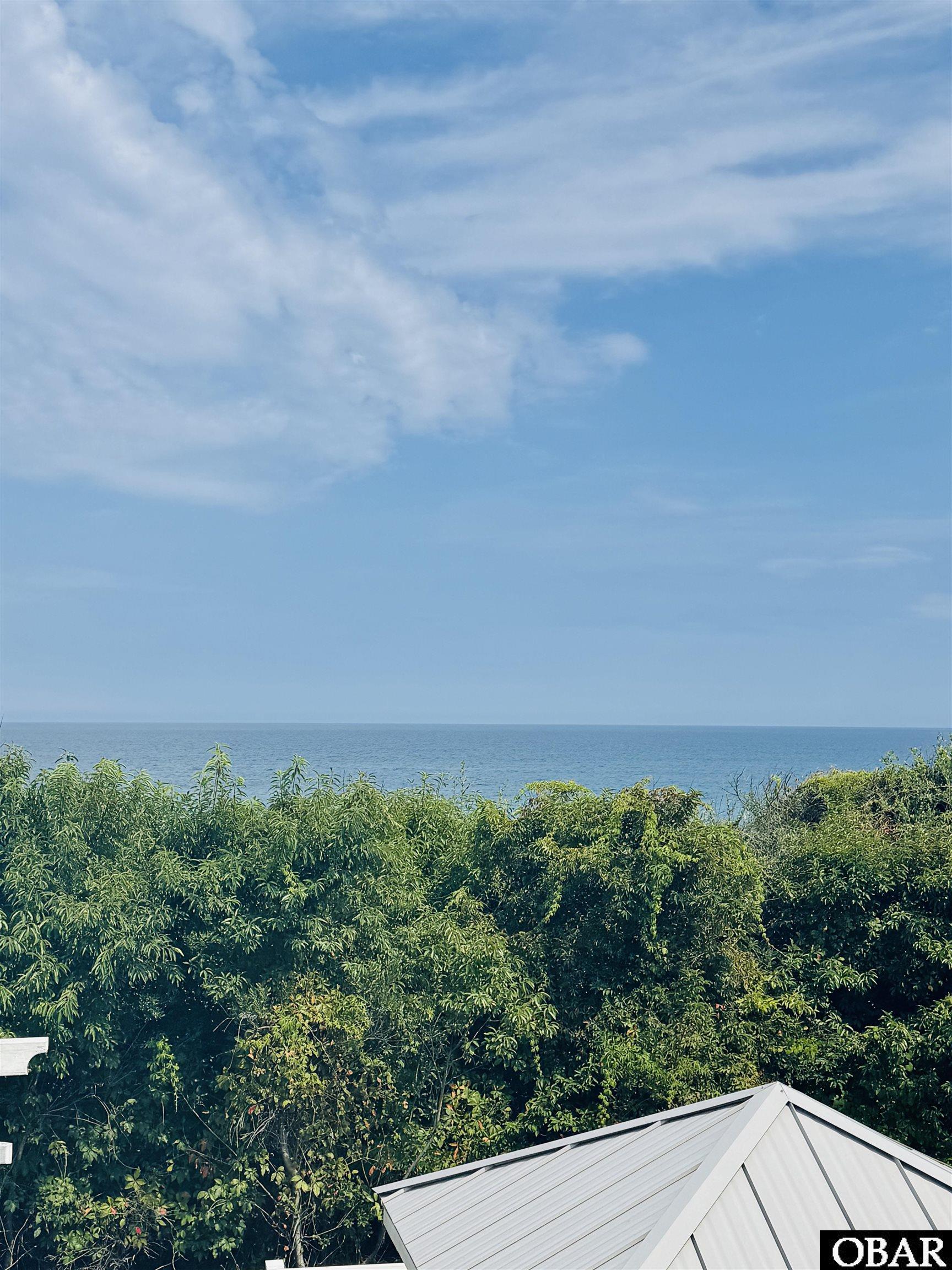 Ocean view beyond dense coastal greenery, with the home's metal roof in the foreground.