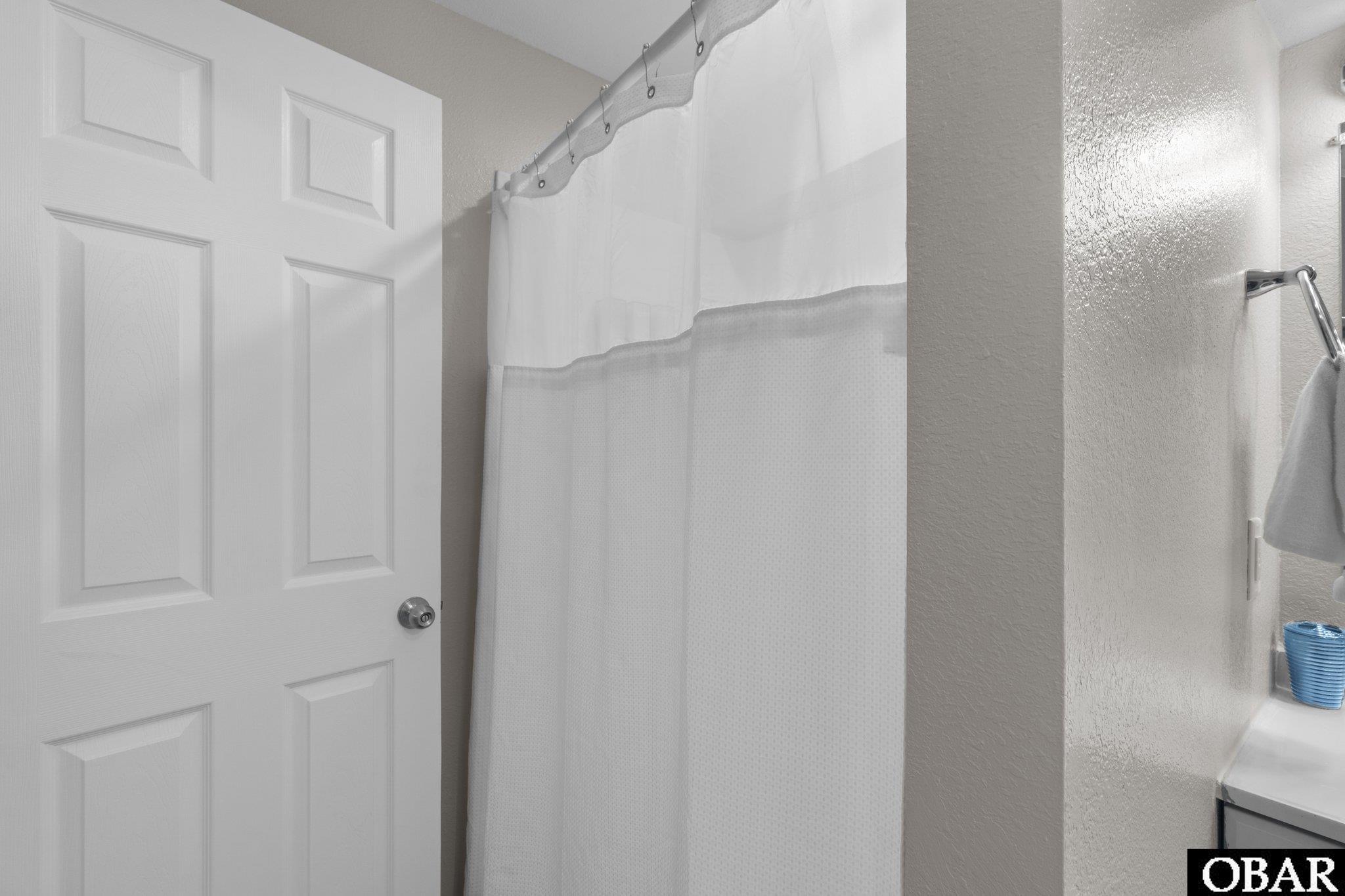 Bathroom with a white shower curtain beside a paneled door and vanity.