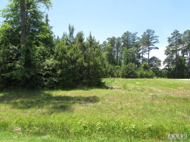 Grassy vacant lot bordered by mature trees and shrubs.