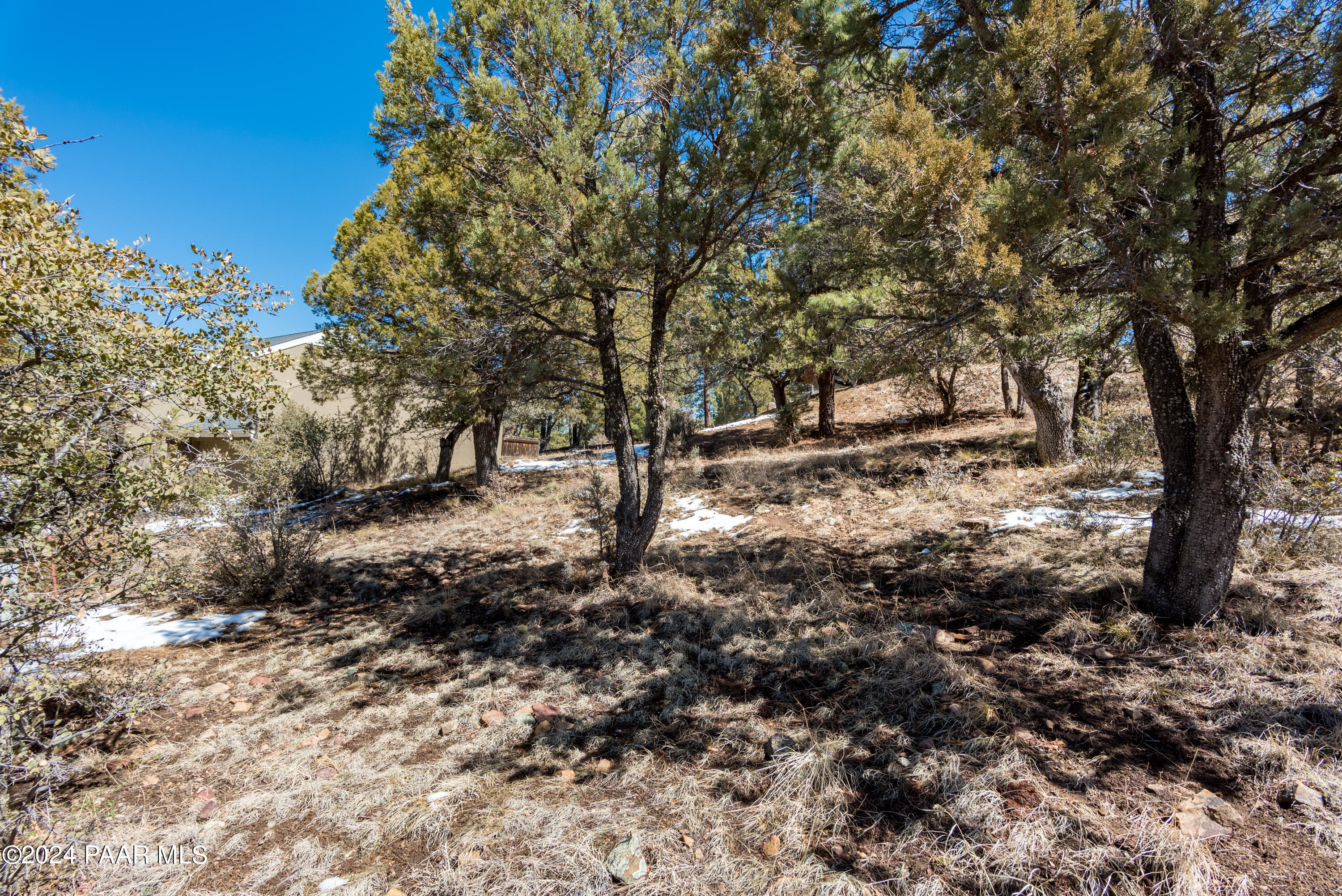 881 Alpha Lane