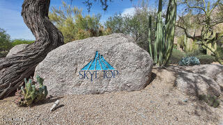 25555 N WINDY WALK Drive 77