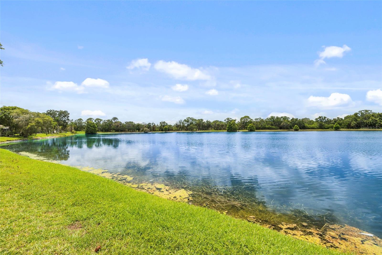 11613 SUNSHINE POND RD