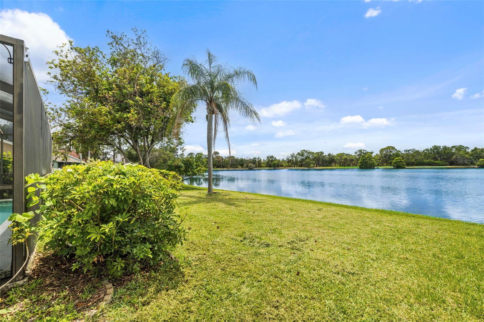 11613 SUNSHINE POND RD