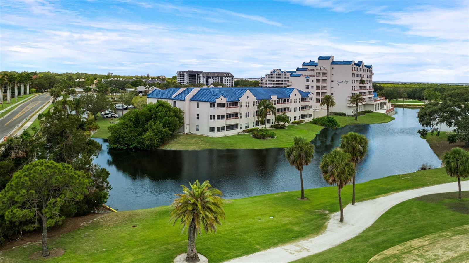 2333 FEATHER SOUND DRIVE #A409