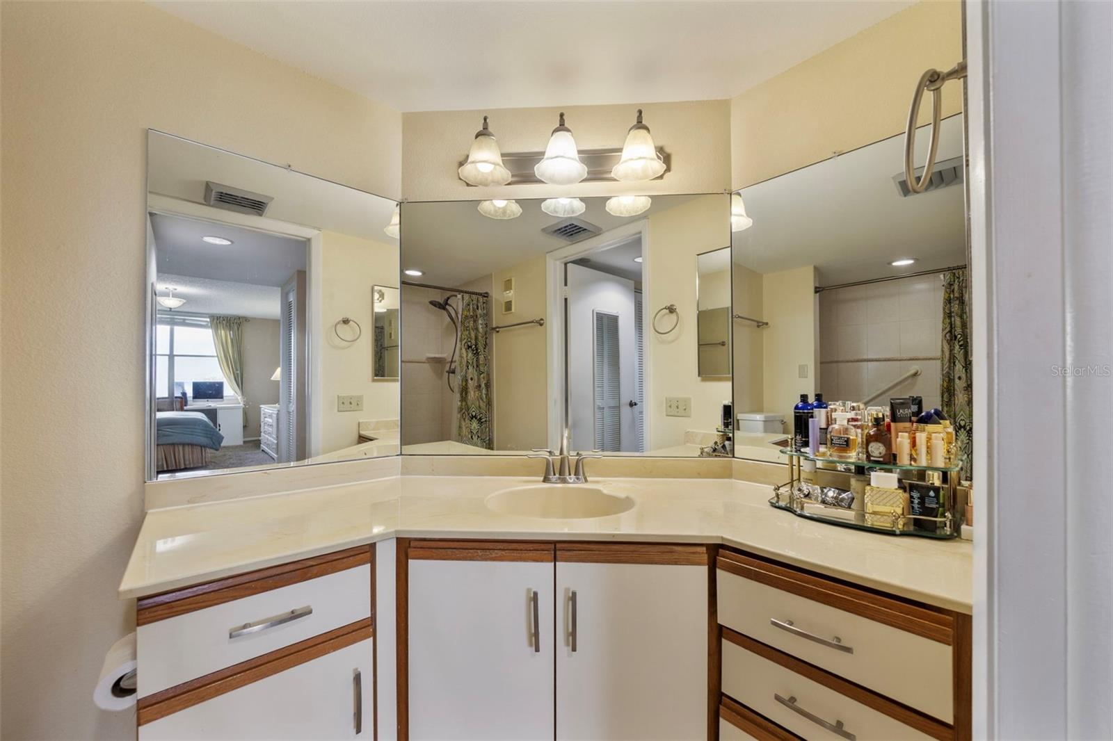 2333 FEATHER SOUND DRIVE #A409