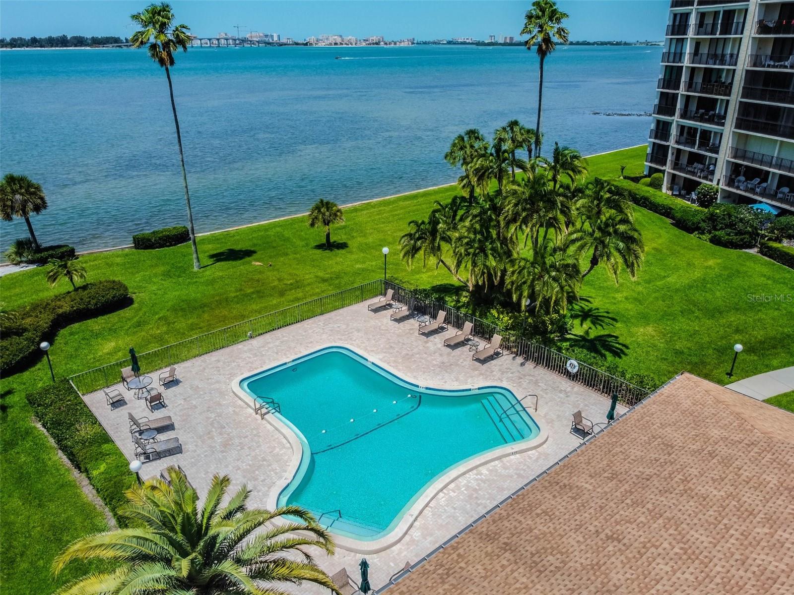 Aerial view of a waterfront condominium pool deck, palm trees, and lawn beside the bay.