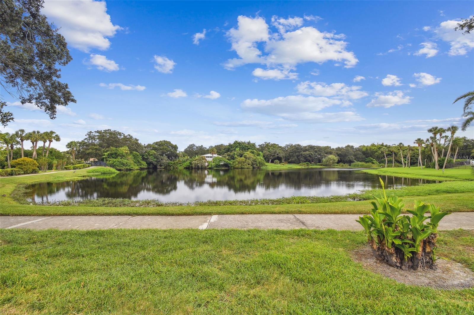 Community pond bordered by lawns, palms, and mature trees under a partly cloudy sky.