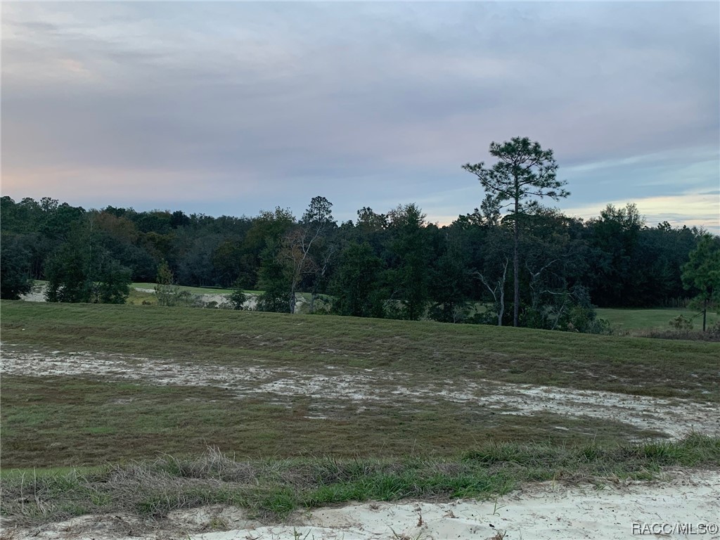 409 W Twisted Oaks Drive