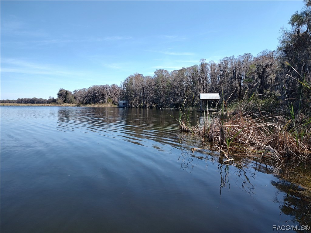 8601 W Bass Lake Road