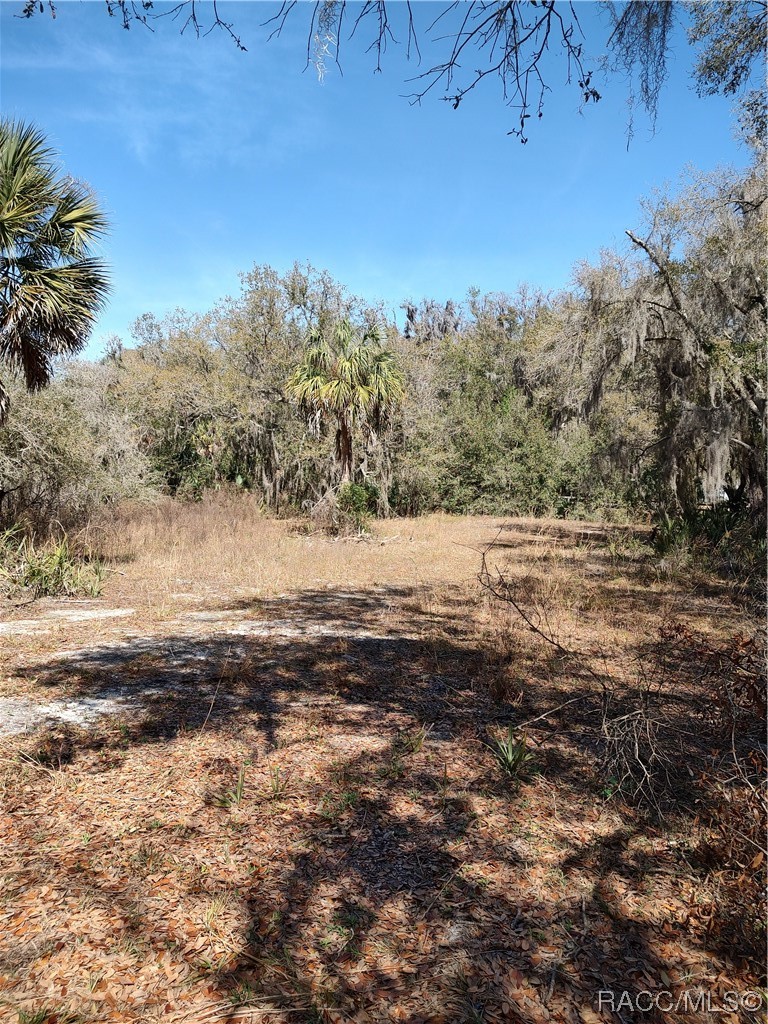 8601 W Bass Lake Road