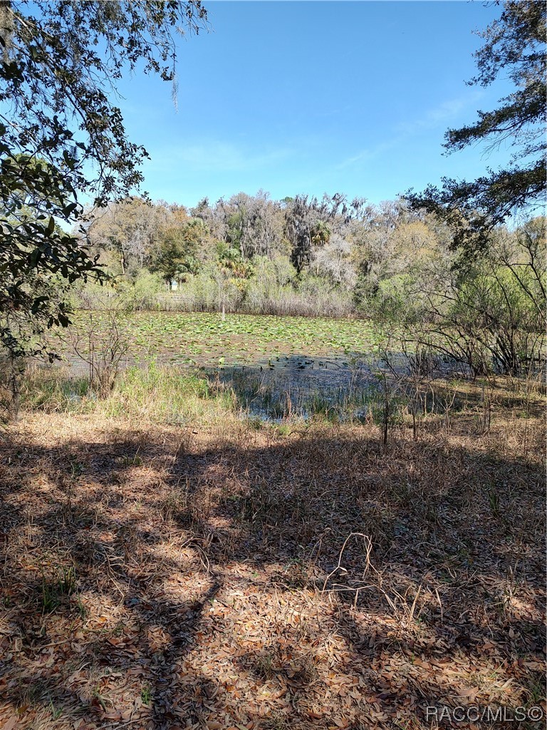 8601 W Bass Lake Road