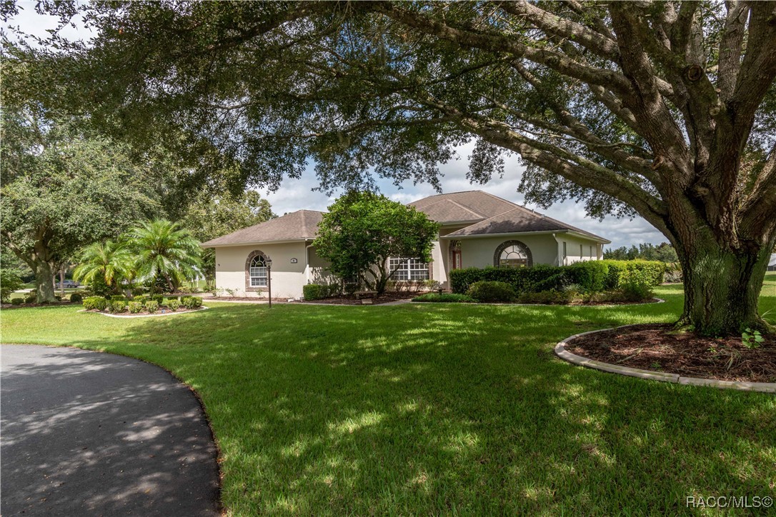 61 E Falconry Court