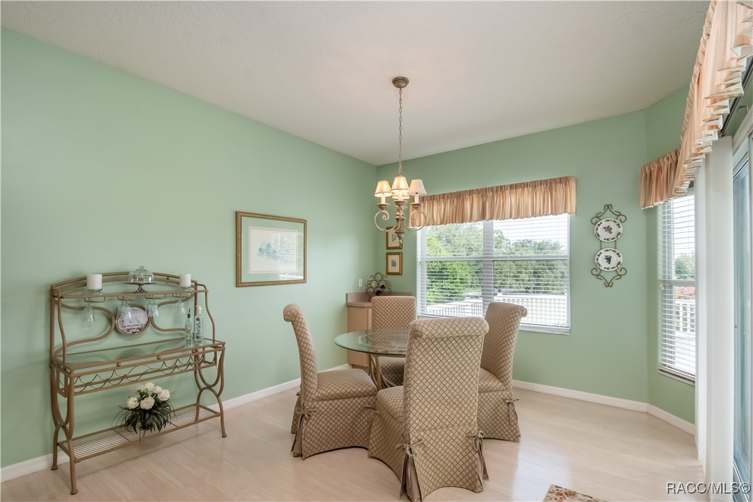 61 E Falconry Court