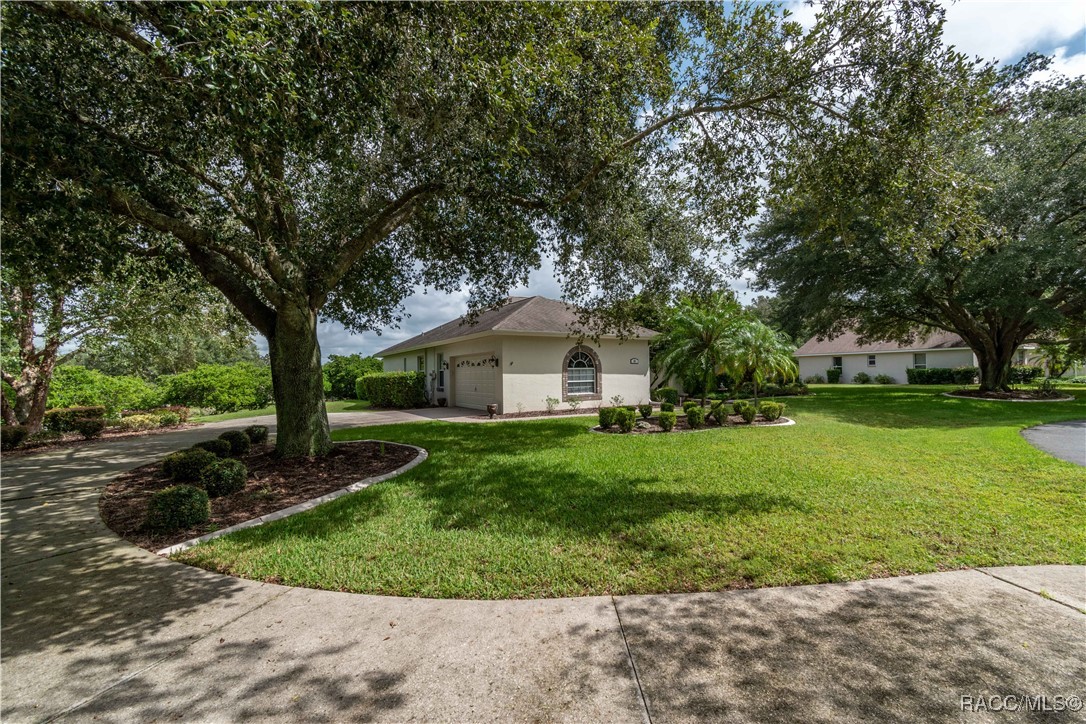 61 E Falconry Court