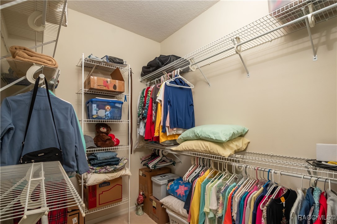 61 E Falconry Court