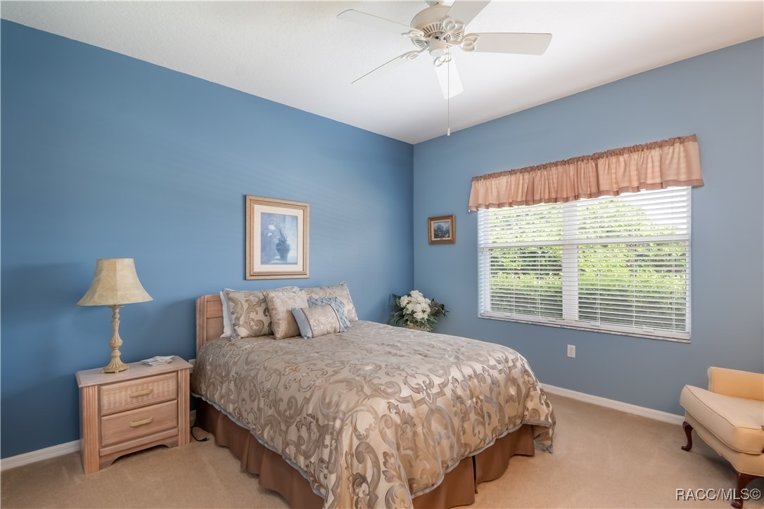 61 E Falconry Court