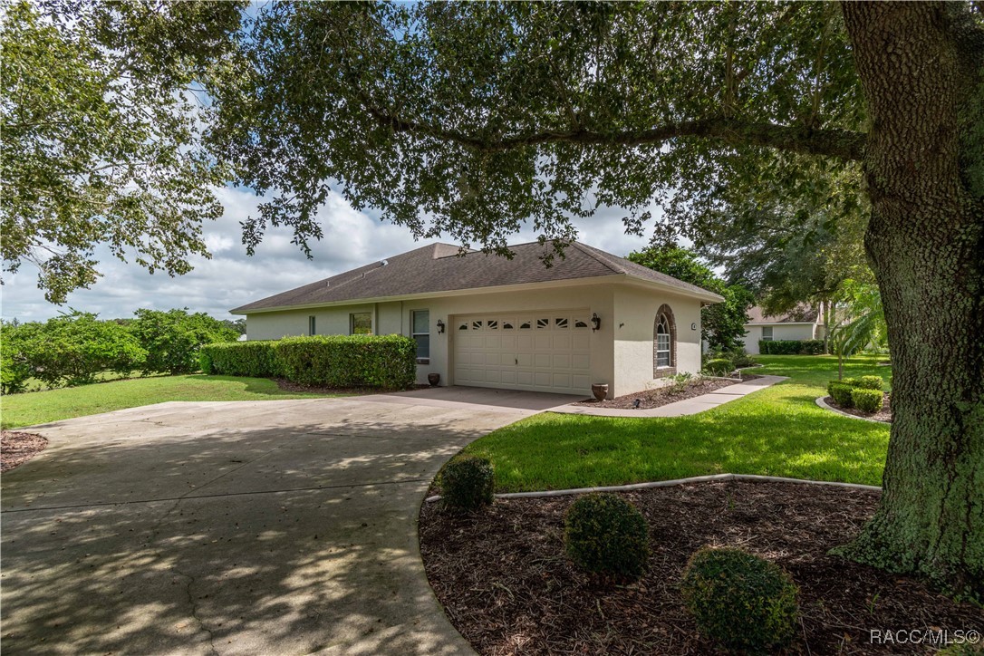 61 E Falconry Court