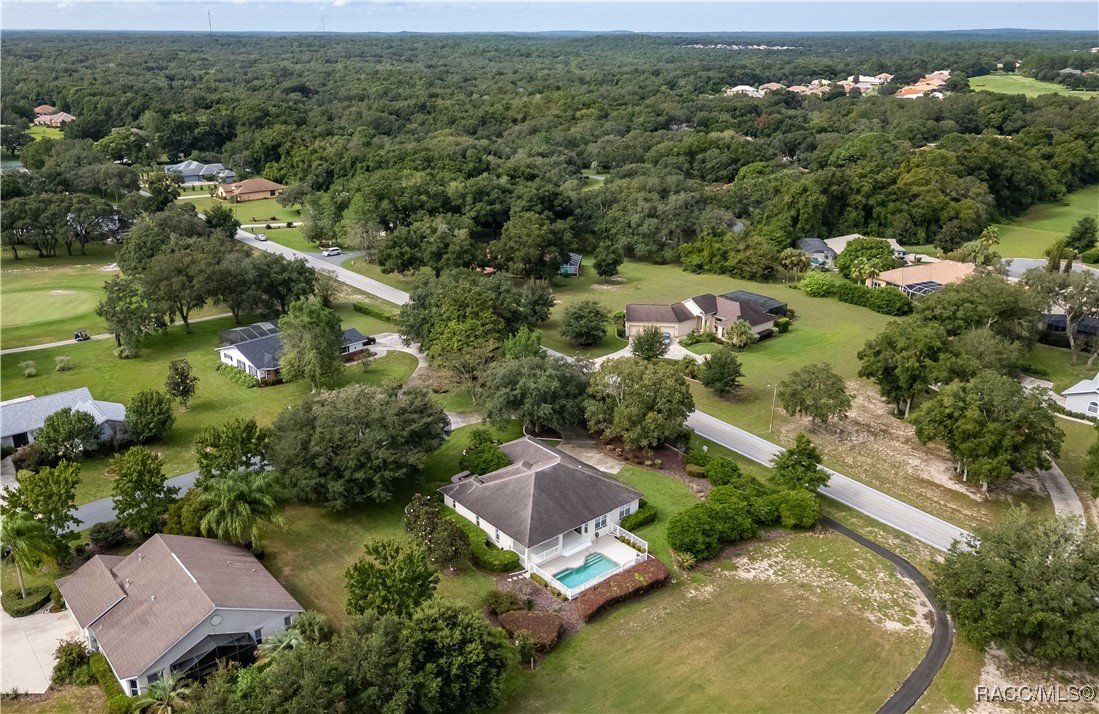 61 E Falconry Court