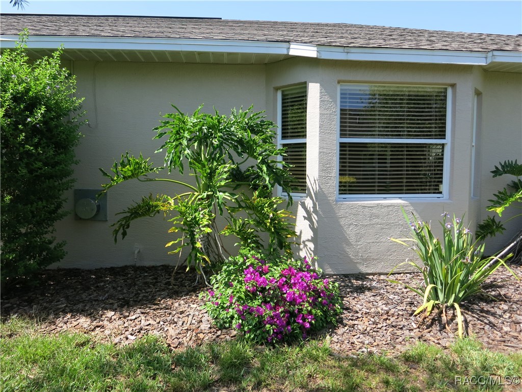 1799 W Shanelle Path