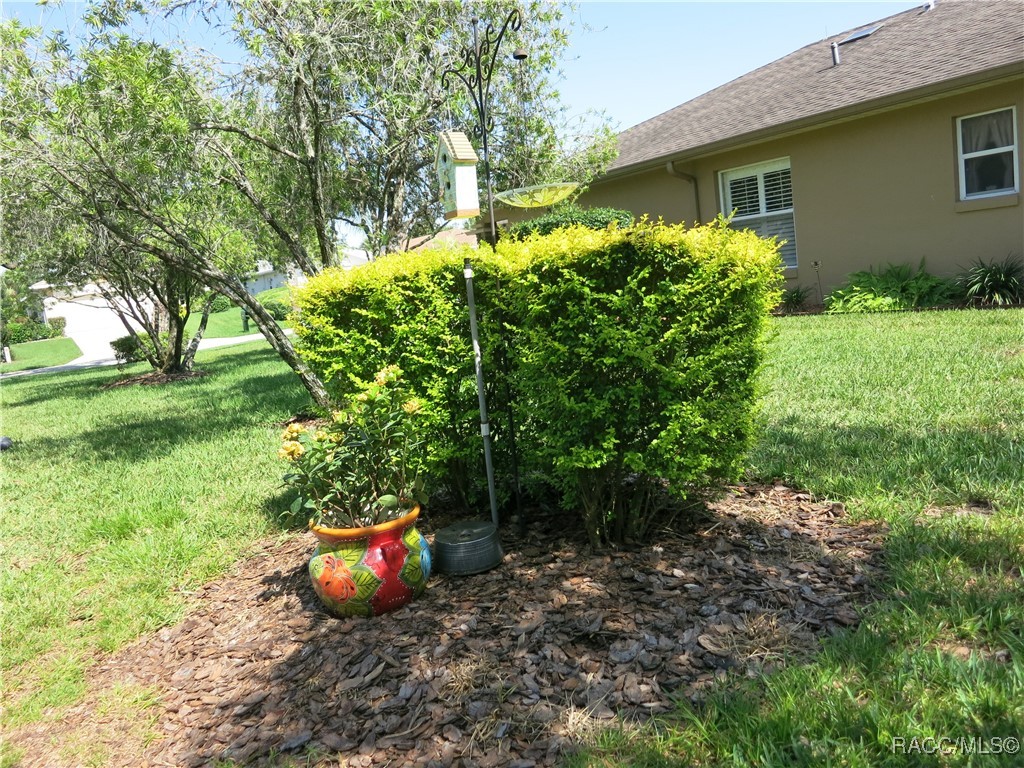1799 W Shanelle Path