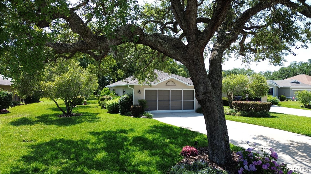 1799 W Shanelle Path