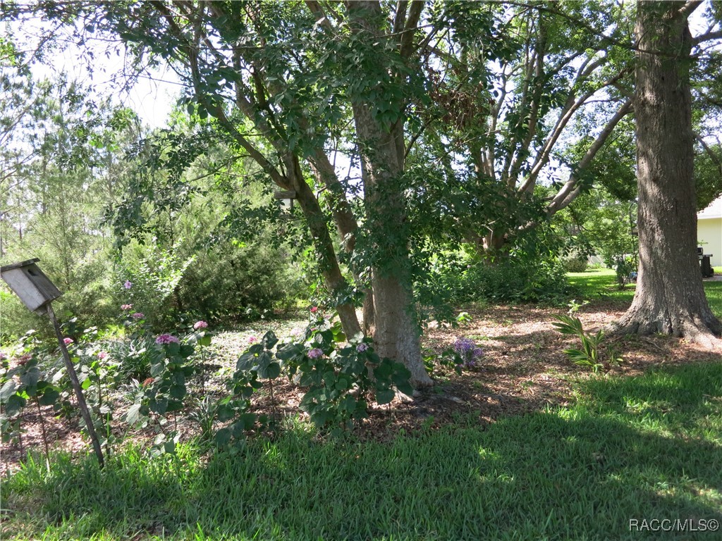 1799 W Shanelle Path