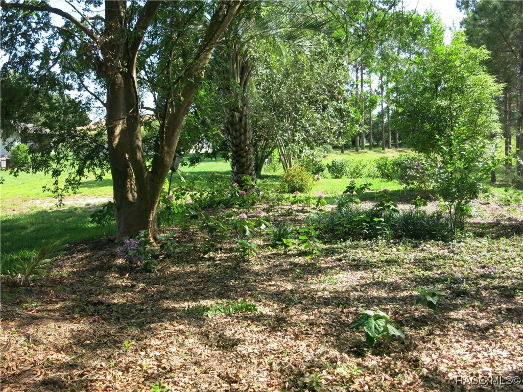 1799 W Shanelle Path