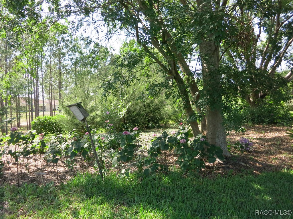 1799 W Shanelle Path