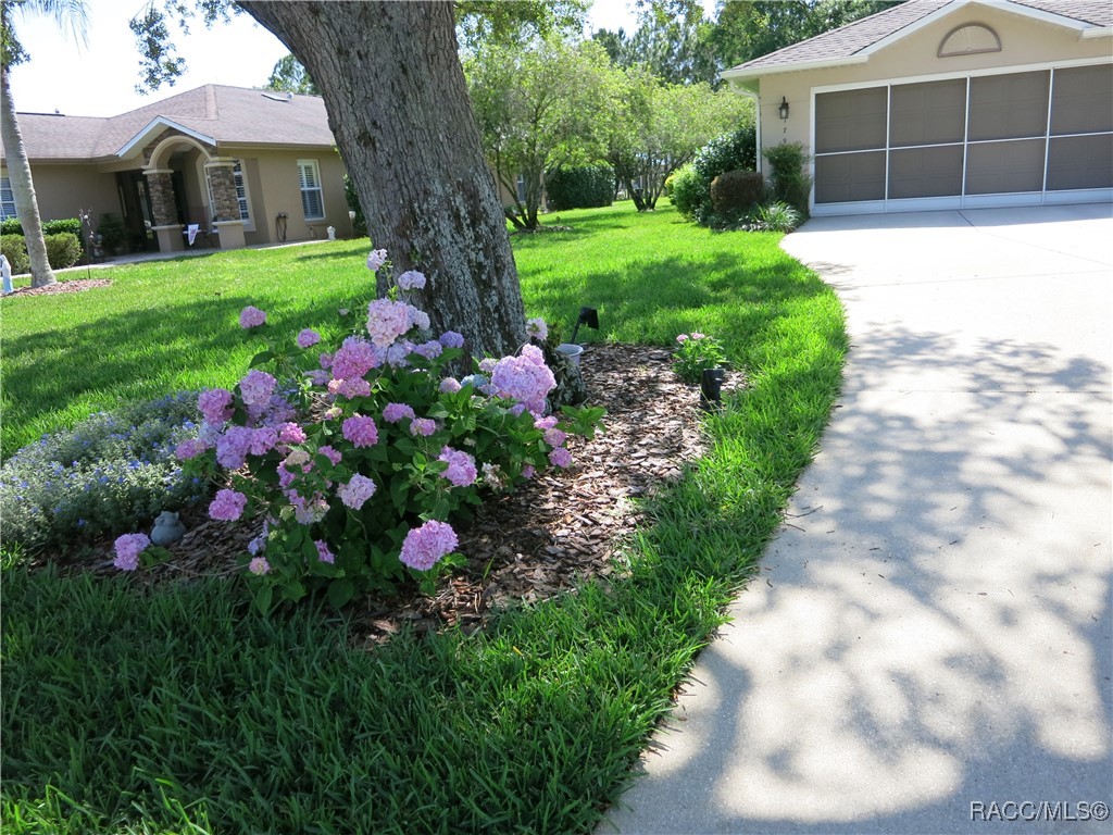 1799 W Shanelle Path