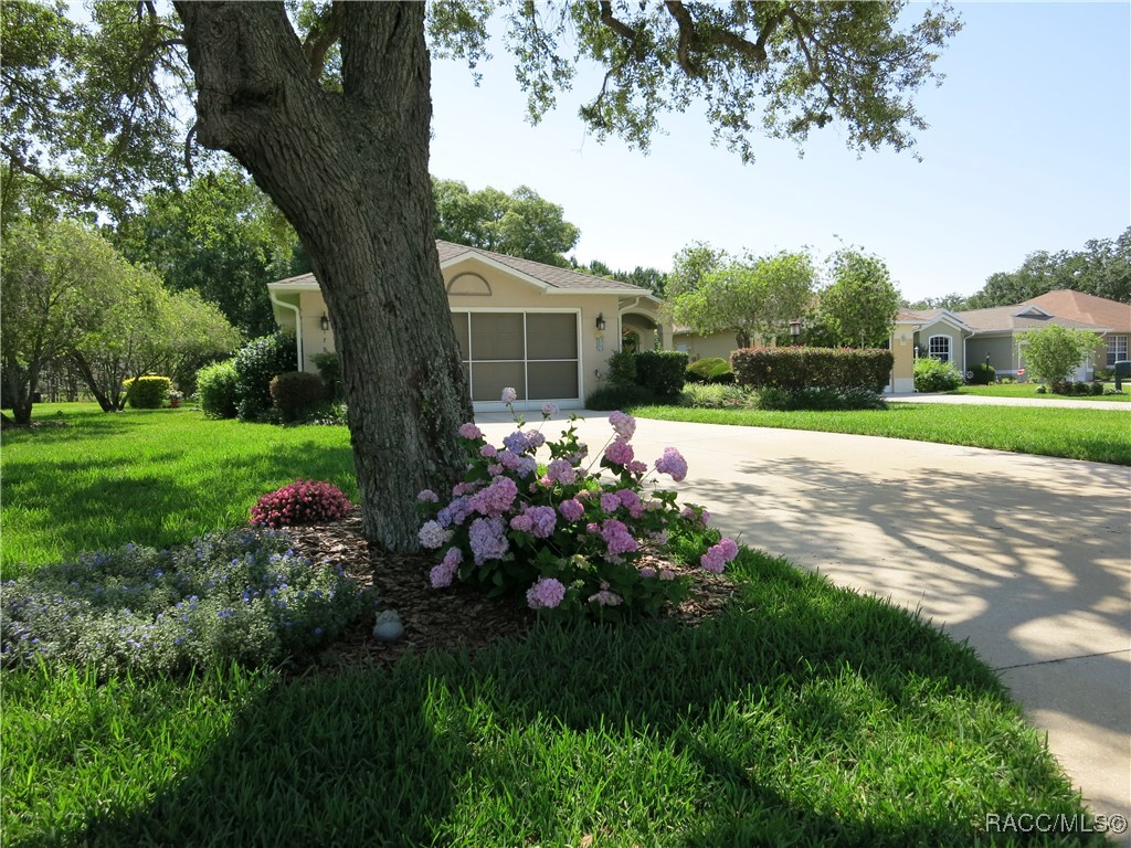 1799 W Shanelle Path