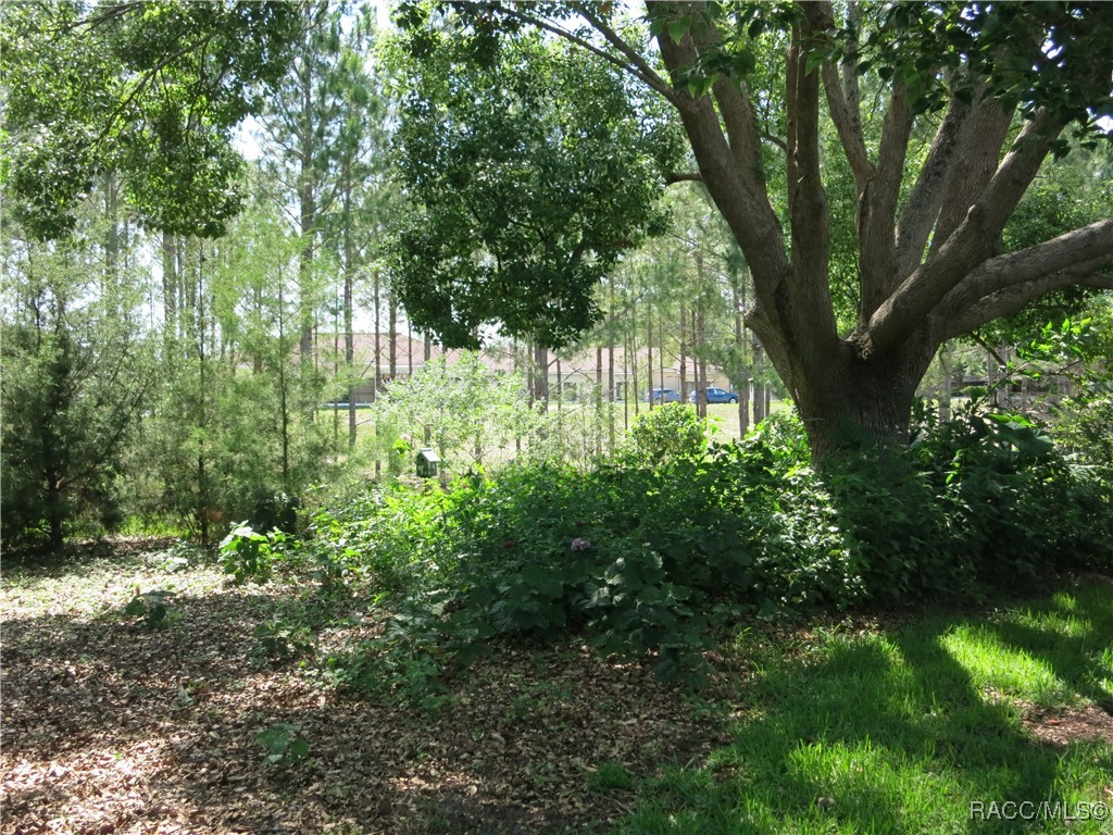 1799 W Shanelle Path