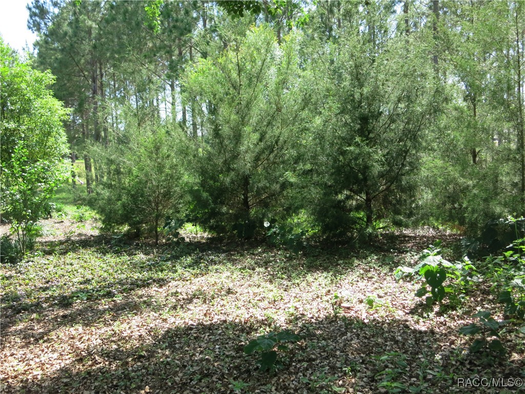 1799 W Shanelle Path