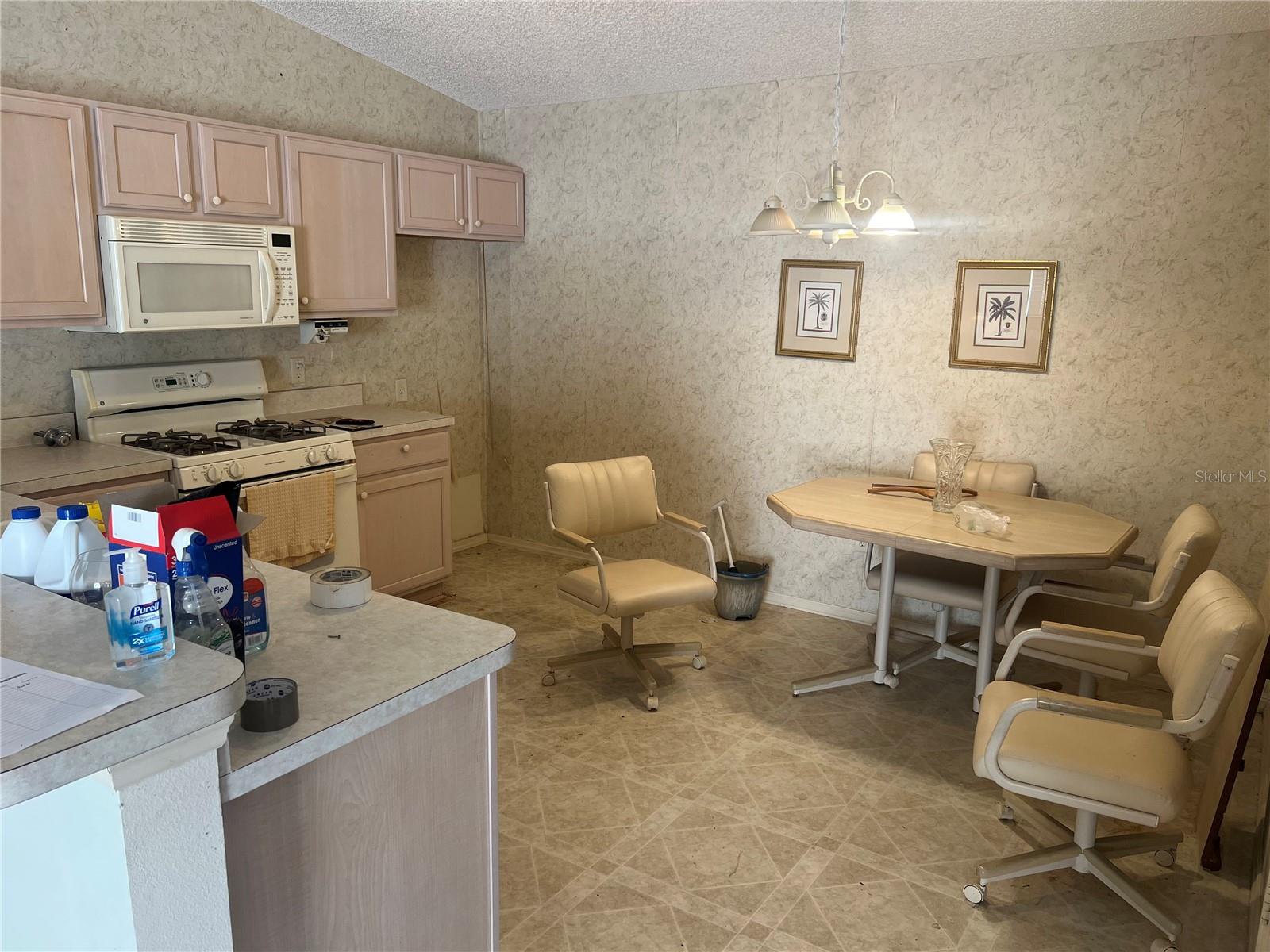 8205 SE 169TH PALOWNIA LOOP