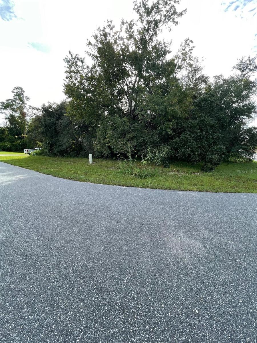 TBA SW 161ST LOOP