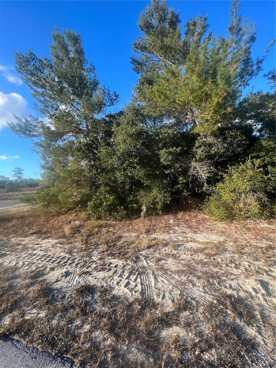 TBA SW 18TH AVENUE ROAD