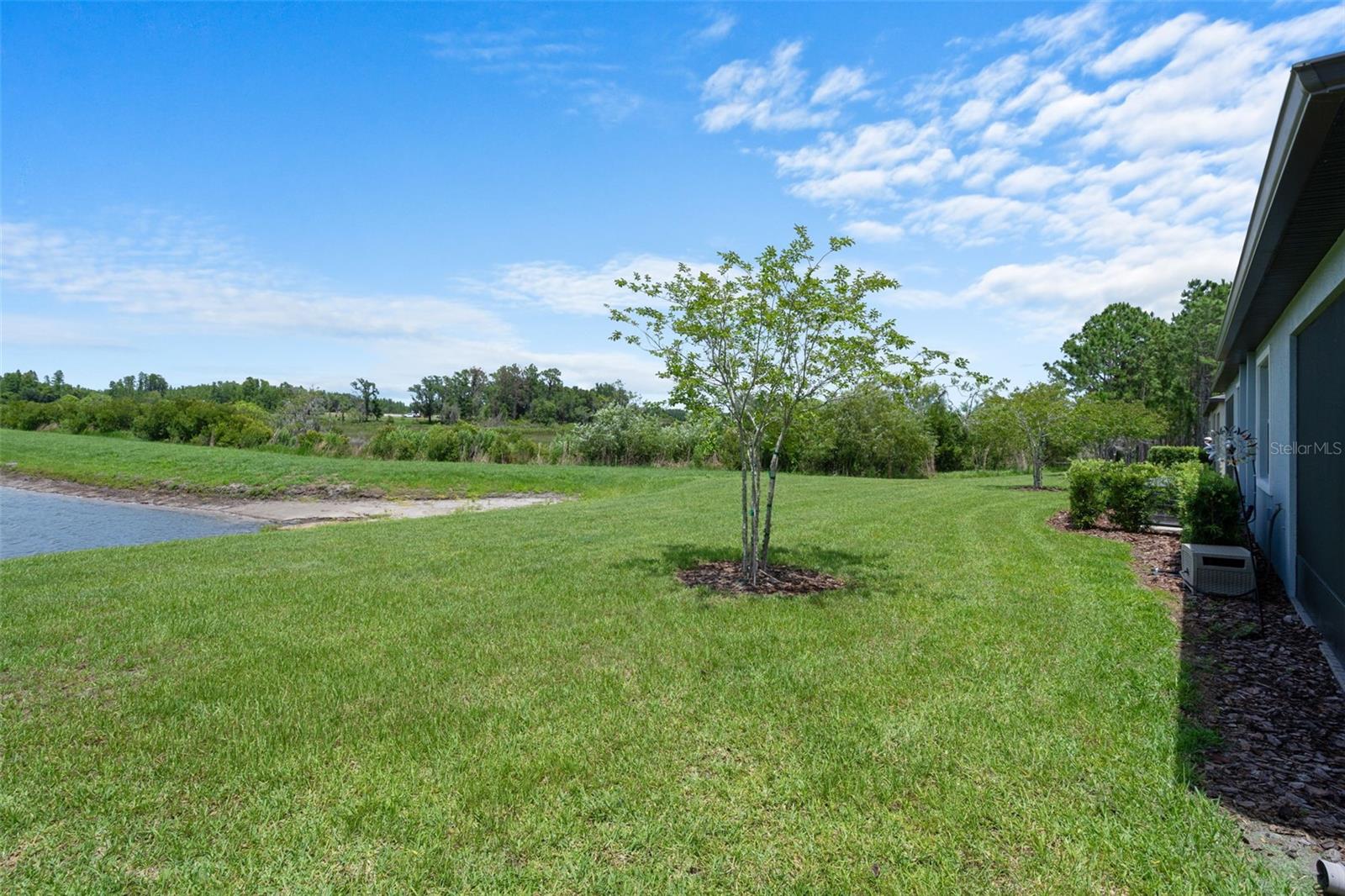 10093 CAMPANULA CT