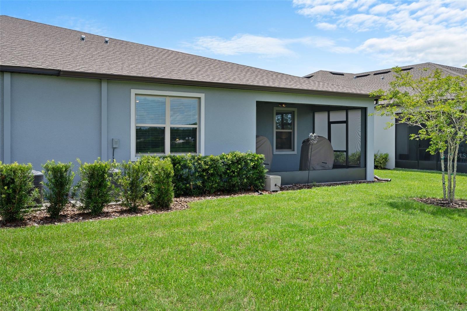 10093 CAMPANULA CT