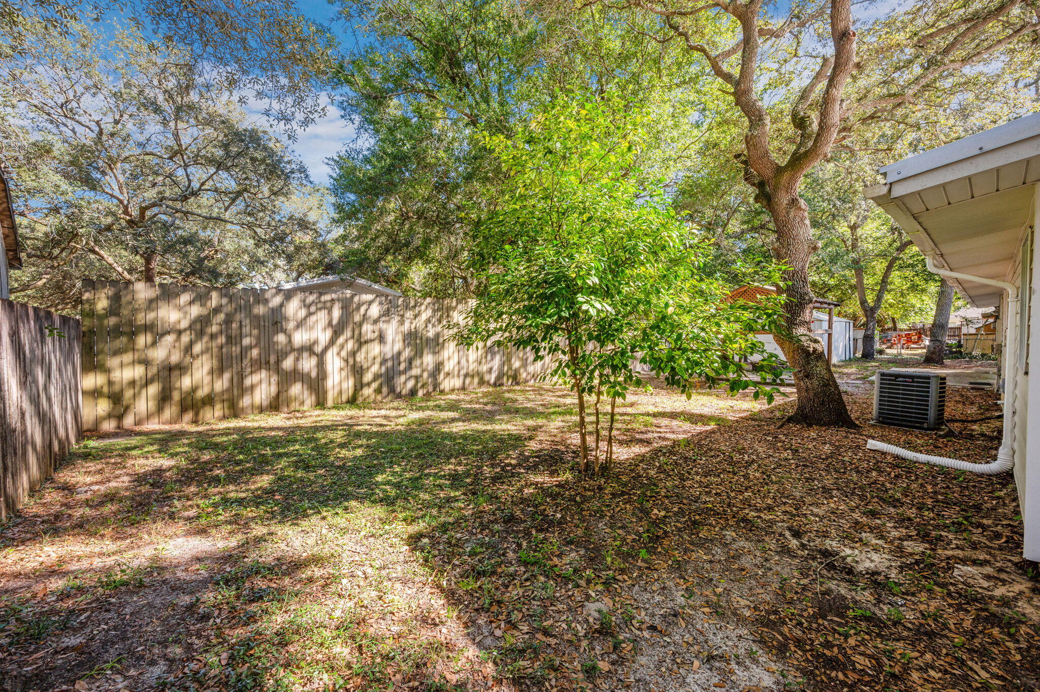 205 Pine Street