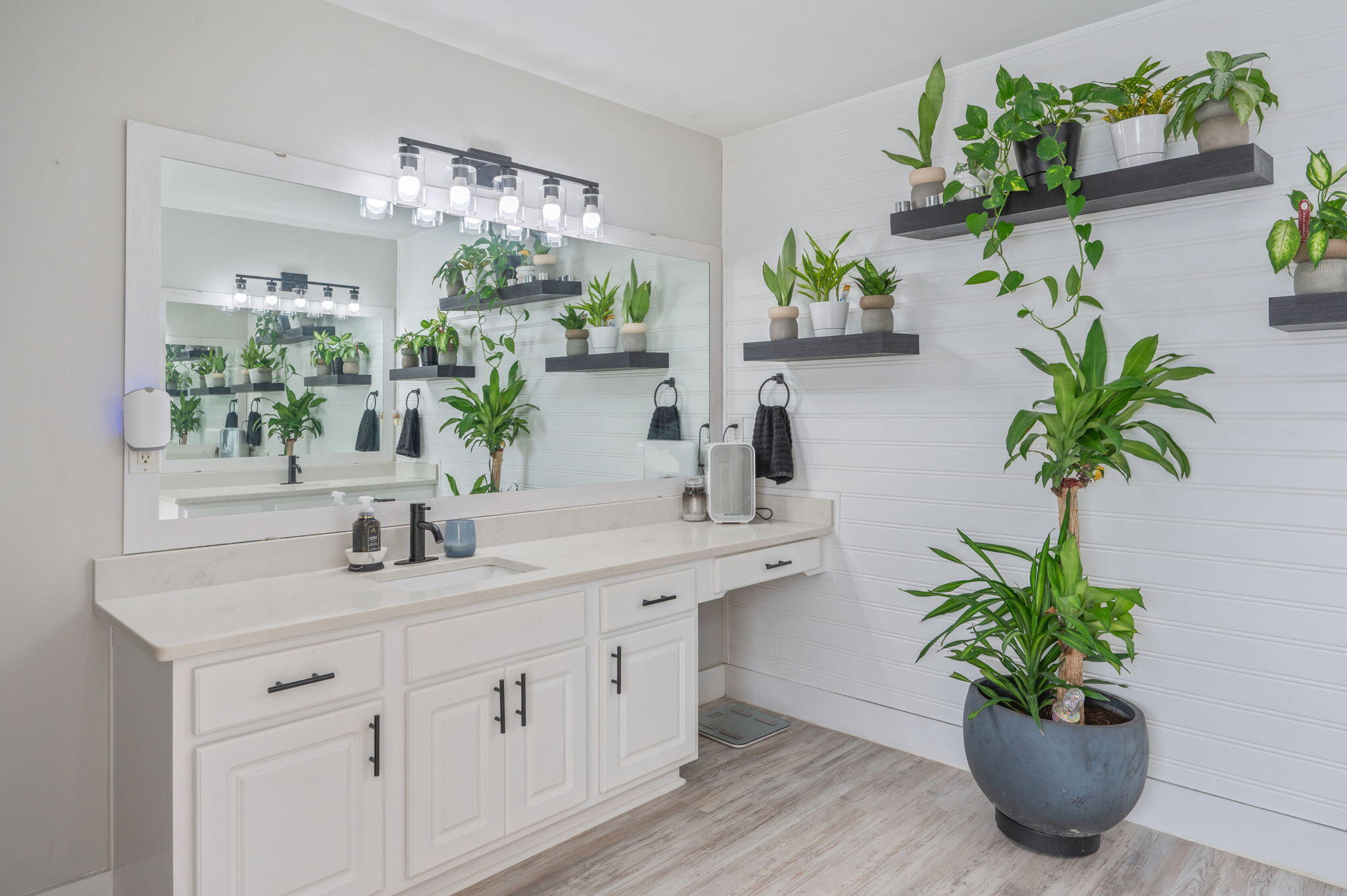 Bathroom with a long white vanity and mirror, surrounded by floating shelves and potted plants.