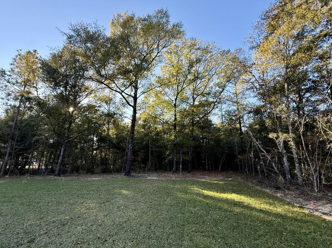 1912 Hidden Springs Drive