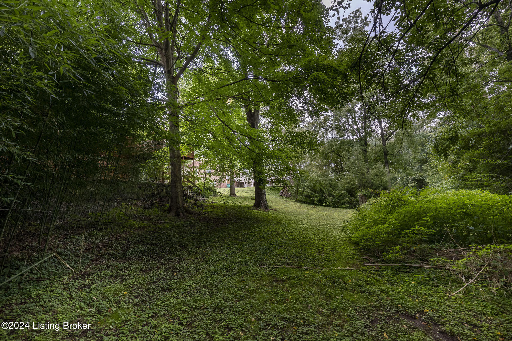 12912 Sunnybrook Dr