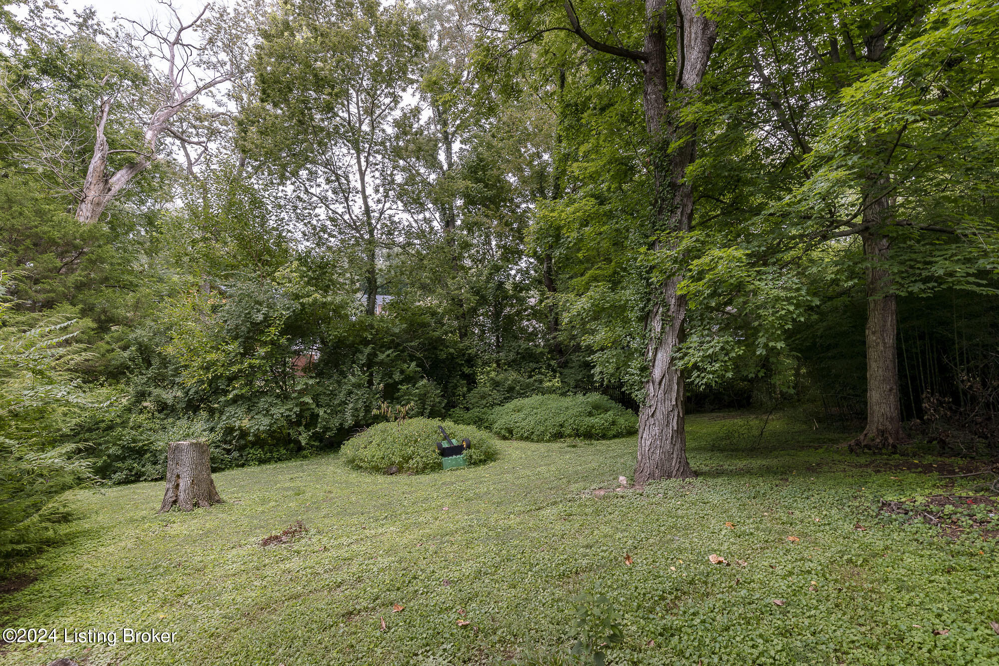 12912 Sunnybrook Dr