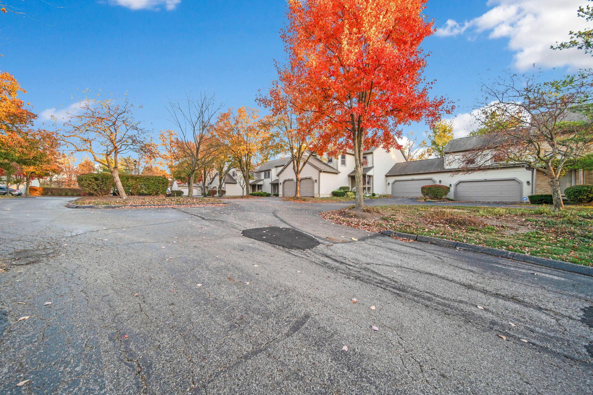 1071 Cypress Lane