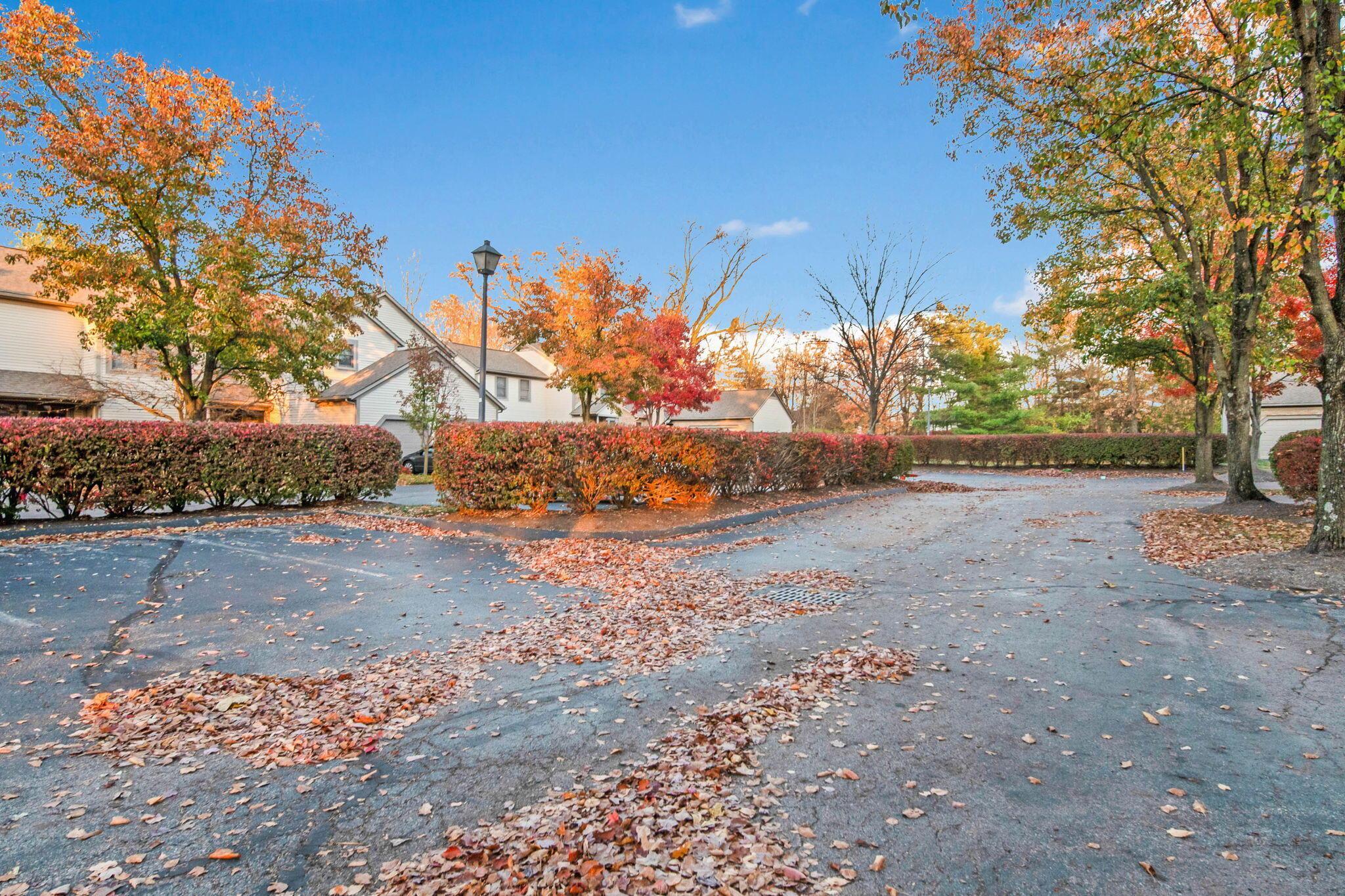 1071 Cypress Lane